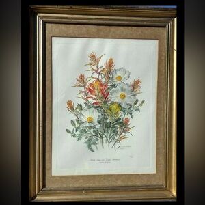 Botanical Art by Anne Ophelia Dowden - Prickly Poppy and Indian Paintbrush